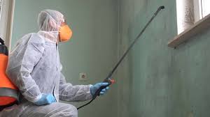 Trusted Macon, MO Mold Remediation Experts